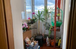 Apartament 3 camere, decomandat 64mp, Paltinis