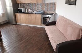 Casa individuala 5 camere , 250mp, teren 300mp, Central