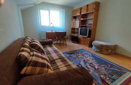 Casa individuala 4 camere plus casa de oaspeti, Drajna