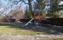 Casa individuala 4 camere plus casa de oaspeti, Drajna