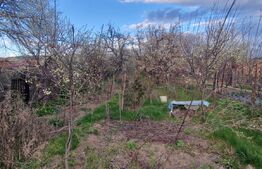 Casa 4 camere, 75 mp, teren 850 mp, Boldesti-Scaeni