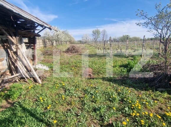 Casa de vânzare 3 camere Exterior Nord - 114011CV | BLITZ Ploieşti | Poza3