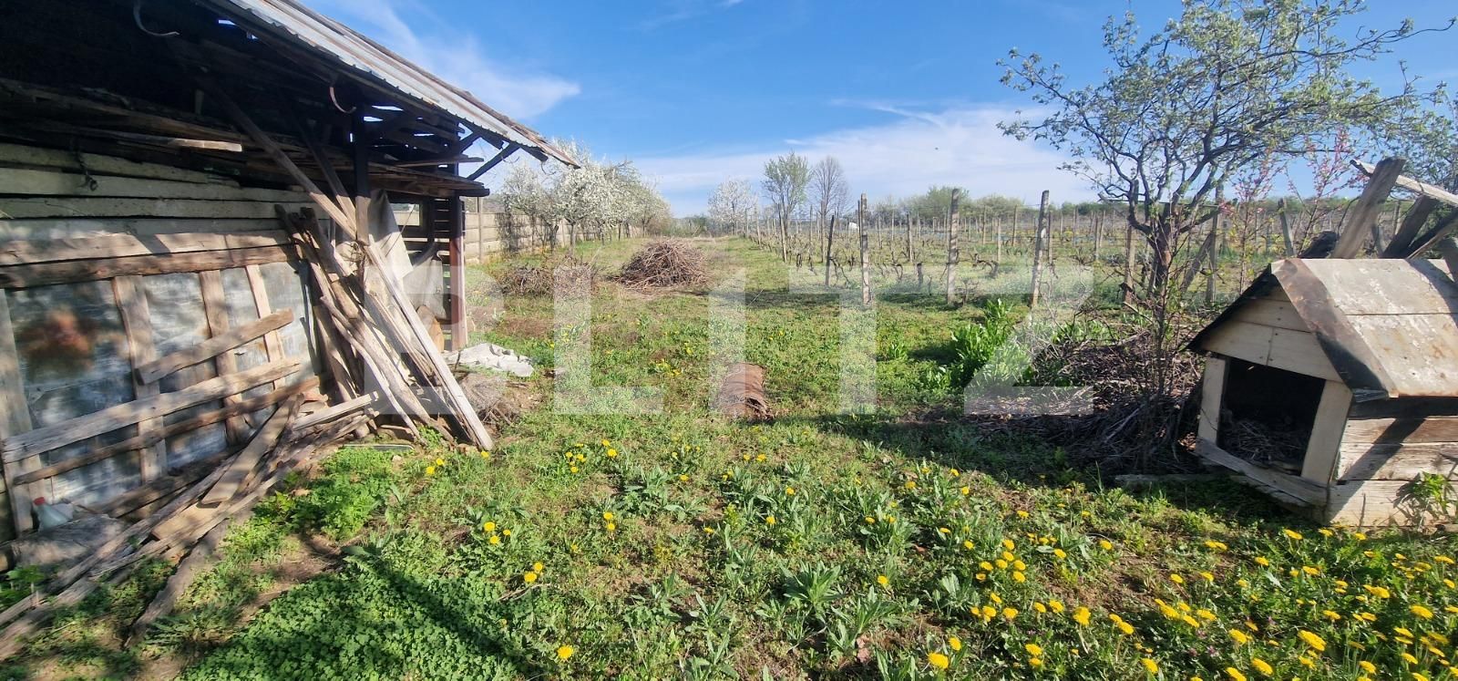 Casa de vânzare 3 camere Exterior Nord - 114011CV | BLITZ Ploieşti | Poza3