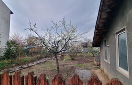 Casa individuala, 3 camere, teren 1500 mp, zona Cantacuzino