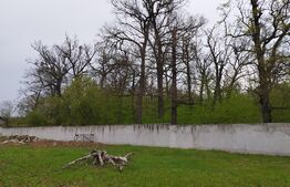 Teren intravilan 1680 mp, Plopeni