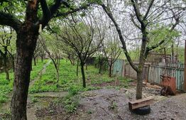 Doua case individuale, suprafata totala 180 mp, in aceeasi curte, teren 900 mp, Ploiestiori