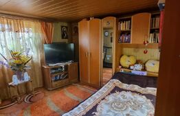 Doua case individuale, suprafata totala 180 mp, in aceeasi curte, teren 900 mp, Ploiestiori