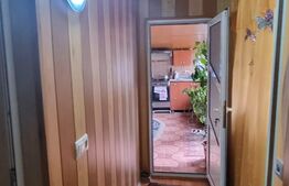 Doua case individuale, suprafata totala 180 mp, in aceeasi curte, teren 900 mp, Ploiestiori