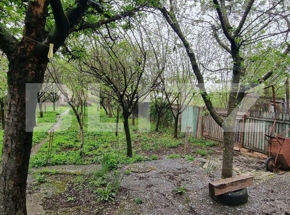 Casa de vânzare 5 camere Ploieștilor - 114233CV | BLITZ Ploieşti | Poza15