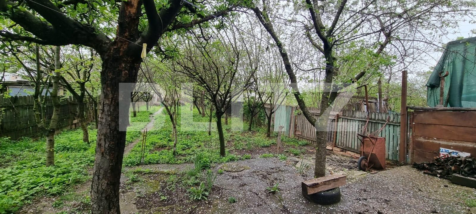 Casa de vânzare 5 camere Ploieștilor - 114233CV | BLITZ Ploieşti | Poza15