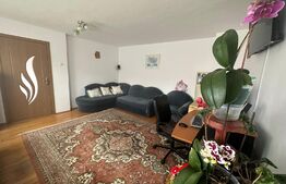 Casa P+1E, 200 mp, 7 camere, teren 737 mp, Banesti