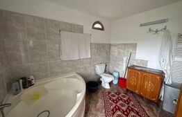 Casa P+1E, 200 mp, 7 camere, teren 737 mp, Banesti