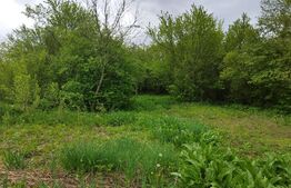 Casa individuala 4 camere, teren 1200mp, Poienarii Burchii (Ologeni))