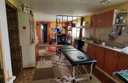 Casa individuala, 3 camere, 100 mp, teren 615 mp, Boldesti Scaeni