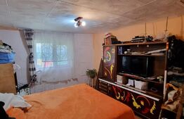 Casa individuala, 3 camere, 100 mp, teren 615 mp, Boldesti Scaeni