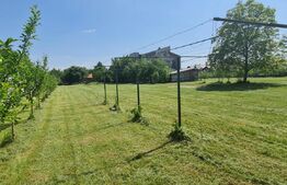 Casa individuala la rosu 7 camere, 1000 mp, teren 3000 mp, Baicoi 