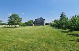 Casa individuala la rosu 7 camere, 1000 mp, teren 3000 mp, Baicoi 