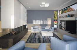 Casa individuala la rosu 7 camere, 1000 mp, teren 3000 mp, Baicoi 