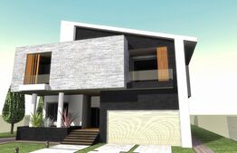 Casa individuala la rosu 7 camere, 1000 mp, teren 3000 mp, Baicoi 