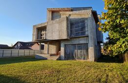 Casa individuala la rosu 7 camere, 1000 mp, teren 3000 mp, Baicoi 