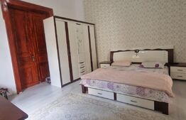 Duplex 4 camere, suprafata utila 250mp, teren util 330mp, Rudului