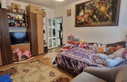 Casa individuala 3 camere, suprafata utila 80mp, teren indiviziune 150mp, Ilie Oana