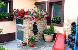 Casa individuala 3 camere, suprafata utila 80mp, teren indiviziune 150mp, Ilie Oana