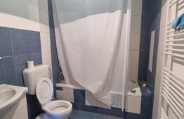 Casa individuala, 6 camere, 245 mp utili, teren 760 mp, zona Mitica Apostol