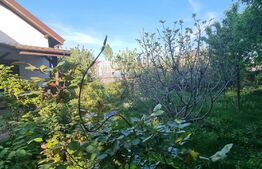 Casa individuala, 6 camere, 245 mp utili, teren 760 mp, zona Mitica Apostol