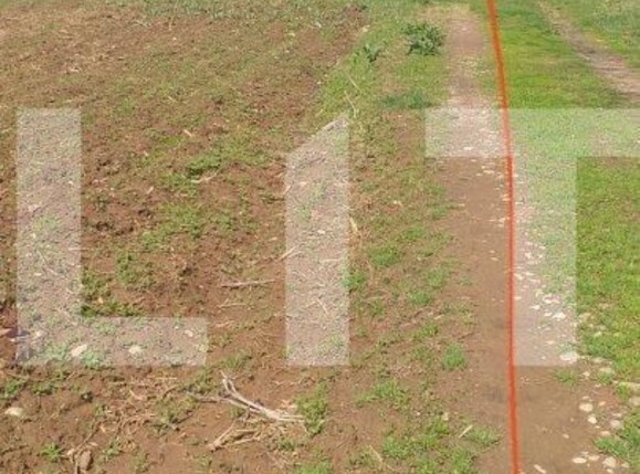 Teren de vânzare Baicoi - 115011TV | BLITZ Ploieşti | Poza4