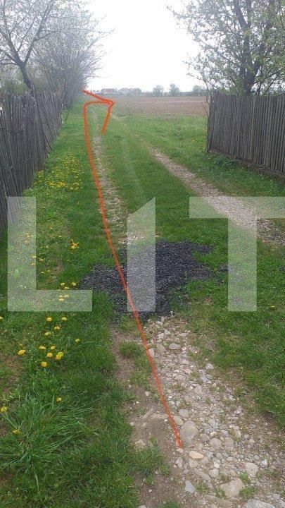 Teren de vânzare Baicoi - 115011TV | BLITZ Ploieşti | Poza2