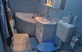 Casa  4 camere, 90mp, teren 160 mp, Parcul Dorobanti