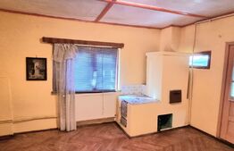 Casa individuala 6 camere, 145 mp utili, teren 980 mp, Blejoi