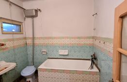 Casa individuala 6 camere, 145 mp utili, teren 980 mp, Blejoi