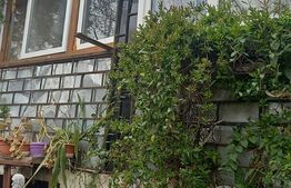 Casa individuala, P+M, 5 camere, 300 mp, teren 500 mp, Nucsoara