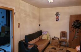 Apartament 2 camere, semidecomandat, zona Malu Rosu 