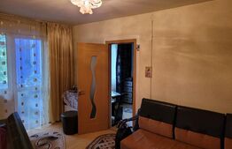 Apartament 2 camere, semidecomandat, zona Malu Rosu 