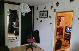 Apartament 2 camere, semidecomandat, zona Malu Rosu 