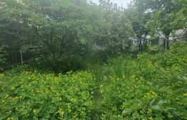 Casa in duplex, 3 camere, 80 mp utili, 350mp teren, Gheorghe Doja