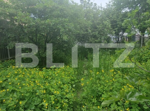 Casa de vânzare 3 camere Gheorghe Doja - 115912CV | BLITZ Ploieşti | Poza3