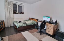 Casa individuala, 2 camere, suprafata 90 mp, teren 374 mp, zona ultracentrala