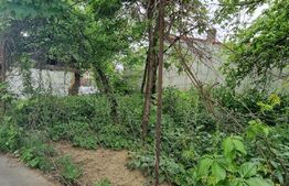 Teren intravilan 353 mp, deschidere 40 ml, in zona Republicii