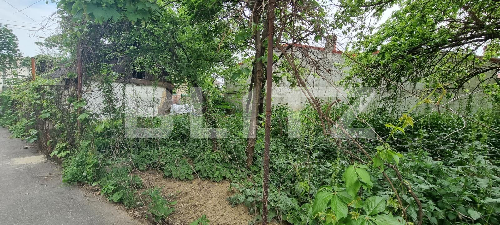 Teren de vânzare Republicii - 115963TV | BLITZ Ploieşti | Poza3