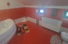 Casa individuala 6 camere, 170 mp utili, teren 930 mp, Baicoi