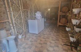 Casa individuala 6 camere, 170 mp utili, teren 930 mp, Baicoi