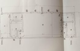 Spatiu industrial si locuinta, 810mp, teren 1370mp, Bariera Bucuresti