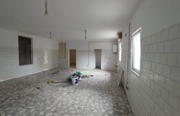 Spatiu industrial si locuinta, 810mp, teren 1370mp, Bariera Bucuresti