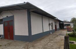 Spatiu industrial si locuinta, 810mp, teren 1370mp, Bariera Bucuresti