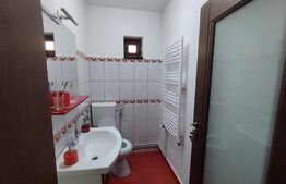 Spatiu industrial si locuinta, 810mp, teren 1370mp, Bariera Bucuresti