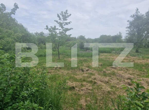 Casa de vânzare 5 camere Exterior Nord - 116242CV | BLITZ Ploieşti | Poza6